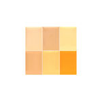 Buy Half N Half Cover Concealer Skin Beauty, Multicolour Palette, Honey (9.6 gm) - Purplle