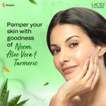 Buy Lacto Calamine Neem Aloe Turmeric Foaming Face wash| Reduces pimples| Purifies skin| With Built-in foaming Brush|Sulphate free face wash|Paraben Free| 150 ml - Purplle