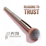 Buy Swiss Beauty Professional powder Brush  1 Pc - Purplle