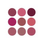 Buy Swiss Beauty On the Move Lip Palette 5g - Purplle