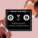 Buy Colorbar Sinful Lip N Cheek Mousse Tint Coco Berry-003 - 4 gm - Purplle