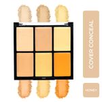 Buy Half N Half Cover Concealer Skin Beauty, Multicolour Palette, Honey (9.6 gm) - Purplle