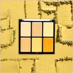 Buy Half N Half Cover Concealer Skin Beauty, Multicolour Palette, Honey (9.6 gm) - Purplle