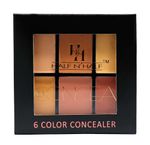 Buy Half N Half Cover Concealer Skin Beauty, Multicolour Palette, Butter Scotch (9.6 gm) - Purplle