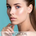 Buy Half N Half Cover Concealer Skin Beauty, Multicolour Palette, Caramel (9.6 gm) - Purplle