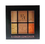 Buy Half N Half Cover Concealer Skin Beauty, Multicolour Palette, Caramel (9.6 gm) - Purplle