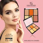 Buy Half N Half Cover Concealer Skin Beauty, Multicolour Palette, Caramel (9.6 gm) - Purplle