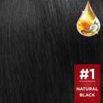 Buy REVLON Color 'n Care NOURISHING PERMANENT HAIR COLOR - 1 Natural Black (Sachet) - Purplle