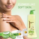 Buy Florozone Hand & Body Lotion With Aloe Vera And Daisy Flower Extract - 500ml - Purplle