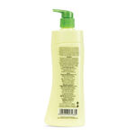 Buy Florozone Hand & Body Lotion With Aloe Vera And Daisy Flower Extract - 500ml - Purplle