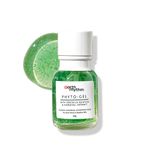 Buy Earth Rhythm Phyto Gel with Centella Asiatica & Horsetail Extract | Fade Scars, Fight Acne Breakout, Heals & Hydrates Skin | for All Skin Types | Men & Women - 50 ML - Purplle