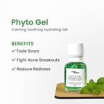 Buy Earth Rhythm Phyto Gel with Centella Asiatica & Horsetail Extract | Fade Scars, Fight Acne Breakout, Heals & Hydrates Skin | for All Skin Types | Men & Women - 50 ML - Purplle
