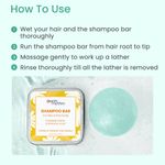 Buy Earth Rhythm Anti Dandruff Shampoo Bar |Controls Itchiness, Eliminates Dandruff, Cools Scalp | for Flaky & Itchy Scalp | Men & Women | With Tin - 80 G - Purplle