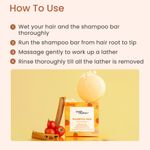 Buy Earth Rhythm Exfoliating Shampoo Bar With Salicylic Acid, White Willow Bark & Tomato Fruit Ferment | Exfoliates Dandruff, Control Sebum Production | for Oily Flaky & Dandruff Scalp | Men & Women | Without Tin - 80 G - Purplle