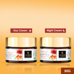Buy Good Vibes Ubtan De-tan Day and Night Cream Combo: Protect and Nourish Your Skin (50 gm) - Purplle