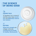 Buy Plum Coconut Milk & Peptides strength & shine shampoo - 250 ml - Purplle