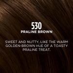 Buy L'Oreal Paris Casting Creme Gloss Hair Color With Glycolic Gloss Complex | Shade 530 - Praline Brown | 60ml + 40ml + 60g - Purplle