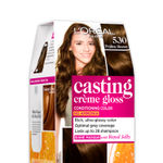 Buy L'Oreal Paris Casting Creme Gloss Hair Color With Glycolic Gloss Complex | Shade 530 - Praline Brown | 60ml + 40ml + 60g - Purplle