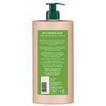 Buy Biotique Fresh Henna Colour Protect Shampoo with Conditioner 650ml - Purplle