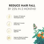 Buy Kapiva Hair Rituals Tulsi Anti Hairfall Oil - 100 ml - Purplle