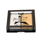 Buy Incolor Bronzing Blush 04 SUMMER 9 Gms - Purplle