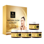Buy Good Vibes Gold Natural Glow Facial Kit | Parlour wala glow at home, Can Be Used Up to 30 Times (Usage May Vary by Individual) (200 gm) - Purplle