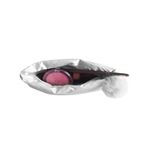 Buy Colorbar Sheen Pouch Small - Silver - Purplle