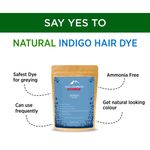 Buy Alps Goodness Powder - Indigo (50 gm) | | 100% Natural Powder | No Chemicals, No Preservatives, No Pesticides | Natural Hair Color | Promotes Hair Growth | Prevents Premature Greying - Purplle