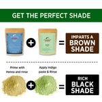 Buy Alps Goodness Powder - Indigo (50 gm) | | 100% Natural Powder | No Chemicals, No Preservatives, No Pesticides | Natural Hair Color | Promotes Hair Growth | Prevents Premature Greying - Purplle
