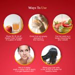 Buy StBotanica USDA Organic Apple Cider Vinegar 500ml (Pet Bottle) - Purplle