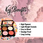 Buy Mattlook Make-up series Baked Blush & Highlight Palette, Multicolor-02 (12 gm) - Purplle