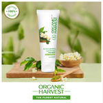 Buy Organic Harvest Acne Control Mattifying Face Wash Green Tea & Moringa Enriched with Ceramides 100ml - Purplle