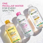 Buy Garnier Micellar Cleansing Water - Gentle Cleanser & Make Up Remover For Everyday Use - Suitable For Sensitive Skin, Dermatologically Tested, Vegan, For Men & Women, Remove 100% Dirt, Pollution, 400 ml - Purplle