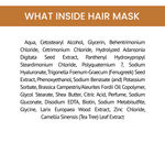 Buy Alps Goodness Fenugreek Biotin & Redensyl Anti Hair Fall Hair Mask (175 g)+ Anti Hairfall Shampoo (290 ml) - Purplle