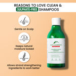 Buy Alps Goodness Fenugreek Biotin & Redensyl Anti Hair Fall Hair Mask (175 g)+ Anti Hairfall Shampoo (290 ml) - Purplle