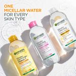 Buy Garnier Skin Naturals Micellar Cleansing Water, 400 ml - Waterproof Makeup Remover For All Skin Types - Purplle
