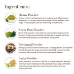 Buy Vagad's Khadi Herbal Gramodaya Black Mehndi 100 gm | Natural | Ammonia Free Henna (Pack of 2) - Purplle