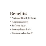 Buy Vagad's Khadi Herbal Gramodaya Black Mehndi 100 gm | Natural | Ammonia Free Henna (Pack of 2) - Purplle