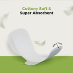 Buy Pee Safe Ultra Thin Sanitary Pads For Women (XXL) - Soft Wings & Leak Proof Overnight Protection (12 Pads) - Purplle