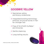 Buy Schwarzkopf Professional Goodbye Yellow Neautralising Shampoo | Sulfate Free | For Balayage and Blonde Hair 300ml - Purplle