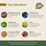 Buy Ozone Henna Conditioner 200 G - Pack of 3 - Purplle