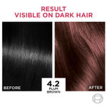 Buy L'Oreal Paris Hair Colour, Radiant At-Home Hair Colour with up to 100% Grey Coverage, Excellence Creme, 4.2 Plum Brown, 72 ml + 100 gm - Purplle