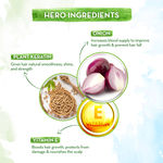 Buy Mamaearth Onion Shampoo for Hair Growth & Hair Fall Control with Onion & Plant Keratin - 1 Litre - 1 ltr - Purplle