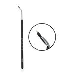 Buy Proarte PE-59 2 in 1 Angled Eye and Lip Brush - Purplle