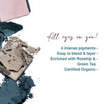 Buy Juicy Chemistry Eyeshadow Quad, 4 Intense Pigments, Super Blendable, Enriched with Rosehip & Green Tea - Certified Organic (8 gm) Seafoam EQ02 - Purplle