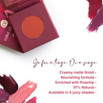Buy Juicy Chemistry Lip & Cheek Tint, Creamy Matte Finish, Natural Flush of Color, Enriched with Rosehip & Green Tea - 97% Natural (3.5 gm) Canyon LT01 - Purplle