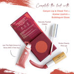 Buy Juicy Chemistry Lip & Cheek Tint, Creamy Matte Finish, Natural Flush of Color, Enriched with Rosehip & Green Tea - 97% Natural (3.5 gm) Canyon LT01 - Purplle