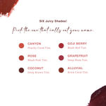 Buy Juicy Chemistry Lip & Cheek Tint, Creamy Matte Finish, Natural Flush of Color, Enriched with Rosehip & Green Tea - 97% Natural (3.5 gm) Coconut LT03 - Purplle