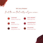 Buy Juicy Chemistry Lip & Cheek Tint, Creamy Matte Finish, Natural Flush of Color, Enriched with Rosehip & Green Tea - 97% Natural (3.5 gm) Alluvial LT06 - Purplle