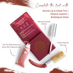 Buy Juicy Chemistry Lip & Cheek Tint, Creamy Matte Finish, Natural Flush of Color, Enriched with Rosehip & Green Tea - 97% Natural (3.5 gm) Alluvial LT06 - Purplle